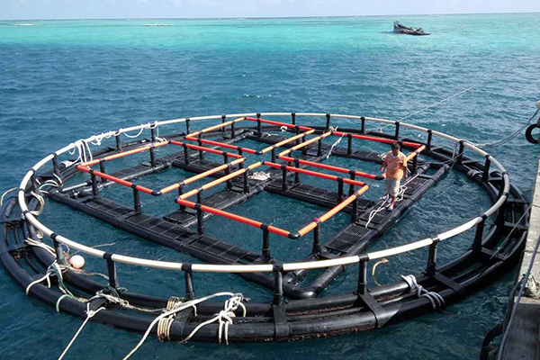 深海奇跡、水下牧場(chǎng)：探索深海養(yǎng)魚網(wǎng)箱在水產(chǎn)養(yǎng)殖中的新可能